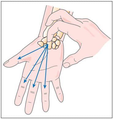 
Khớp cổ tay là bộ phận quan trọng dễ bị tổn thương
