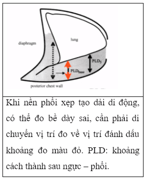 How to measure pleural fluid on ultrasound?