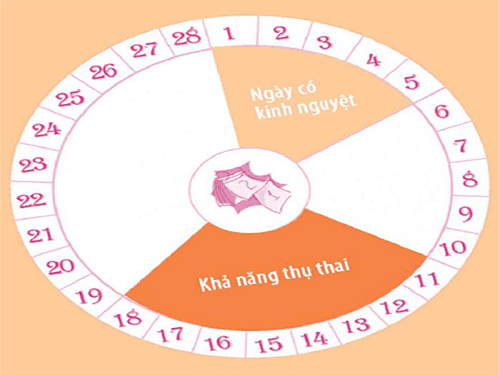 Cách tính ngày thụ thai như thế nào?