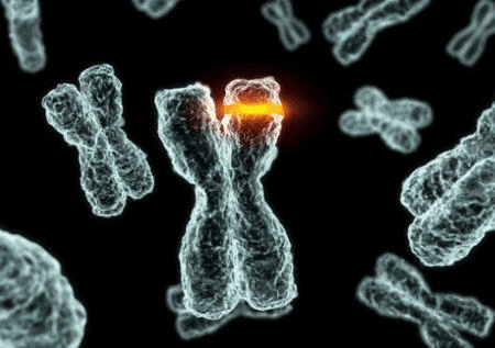 Nguyên nhân khác của đột biến gen tự phát là lỗi trong quá trình sao chép DNA