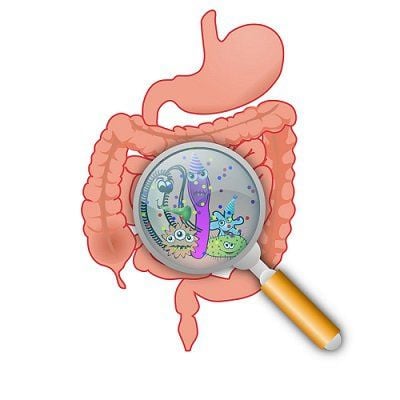 Beware of gastrointestinal fungal diseases