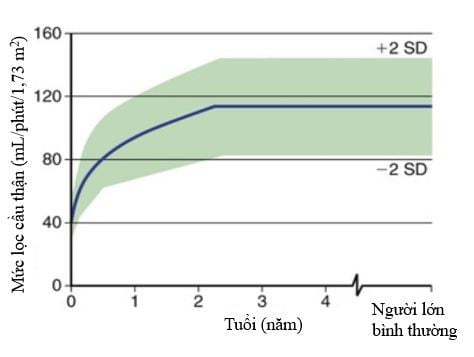 
Hình 3. Mức lọc cầu thận bình thường ở trẻ em theo lứa tuổi

