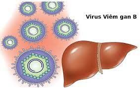 Dùng chung khăn mặt với bệnh nhân viêm gan B có sao không?