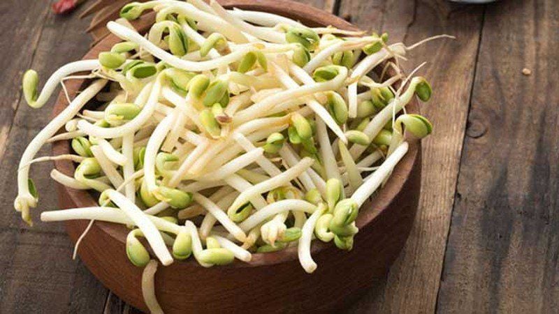 Is it good for pregnant women to eat bean sprouts? | Vinmec