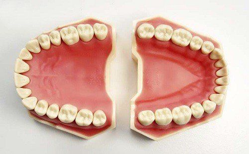 Your teeth from birth to adulthood