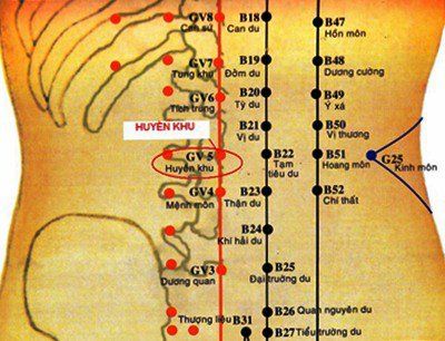 
Vị trí huyệt Huyền khu tương đối dễ tìm, có thể dễ dàng xác định được
