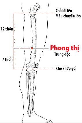 
Huyệt Phong Thị được xác định nằm ở mặt ngoài đùi, vị trí ở phần đường rãnh 2 gân mặt ngoài đùi trước và đùi sau
