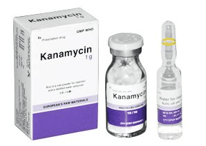 Kanamycin belongs to which group of antibiotics?