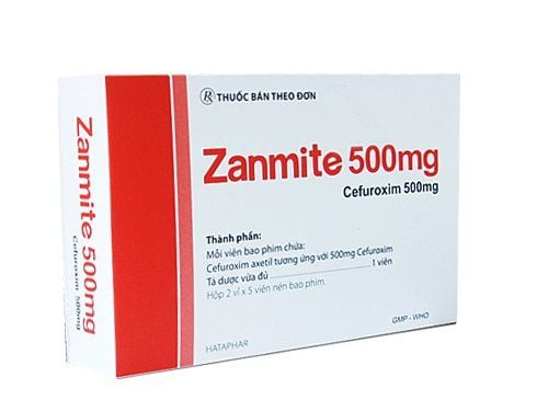 Uses of Zanmite 500 mg