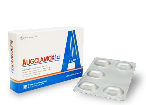 Uses of Augclamox 1g