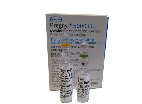 Uses of Pregnyl