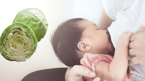 Can mothers after giving birth eat cabbage?