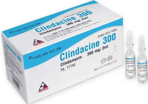 Uses of Clindacine 300