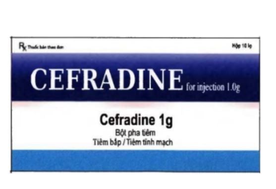 Uses of Cefradine For Injection 1g | Vinmec