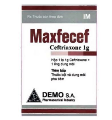 Công dụng thuốc Maxfecef