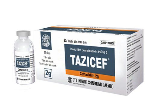 Uses of Tazicef