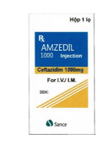 Uses of Amzedil 1000