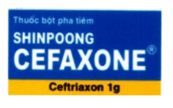 Uses of Shinpoog Cefaxone