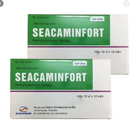 Uses of Seacaminefort