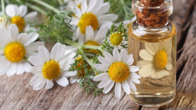 Công dụng thuốc Chamomile | Vinmec