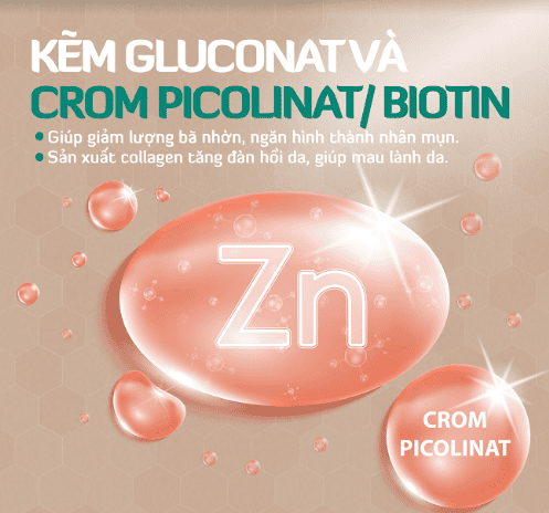 
Kẽm Gluconat và Crom Picolinate là bộ đôi khoáng chất quan trọng hỗ trợ tăng cường trao đổi chất
