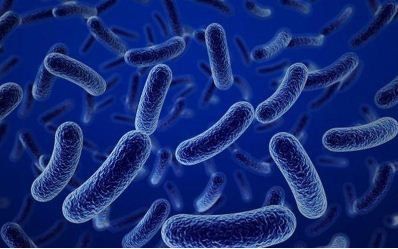 
Lợi khuẩn Bacillus subtilis được chứng minh là có tác dụng đối với trẻ bị tiêu chảy
