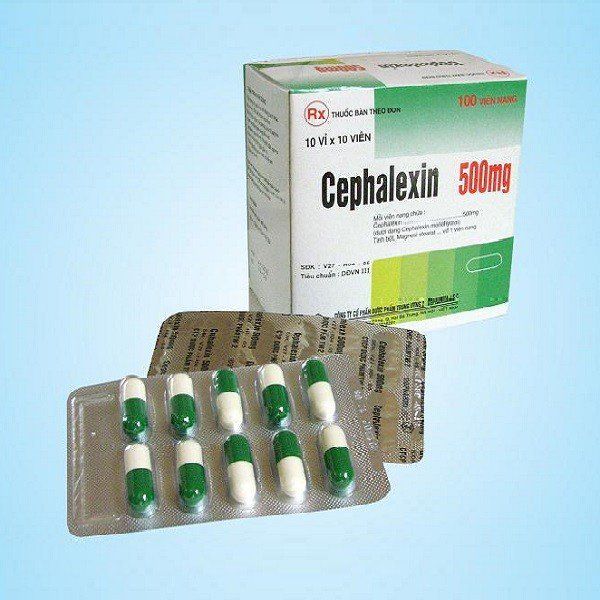 9. Bảo Quản Thuốc Cephalexin 500mg