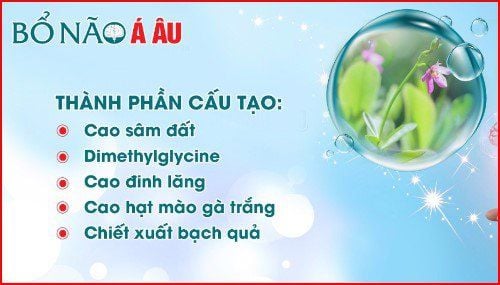 Thực phẩm bảo vệ sức khỏe Bổ Não Á Âu: Công dụng, cách dùng và lưu ý khi sử dụng