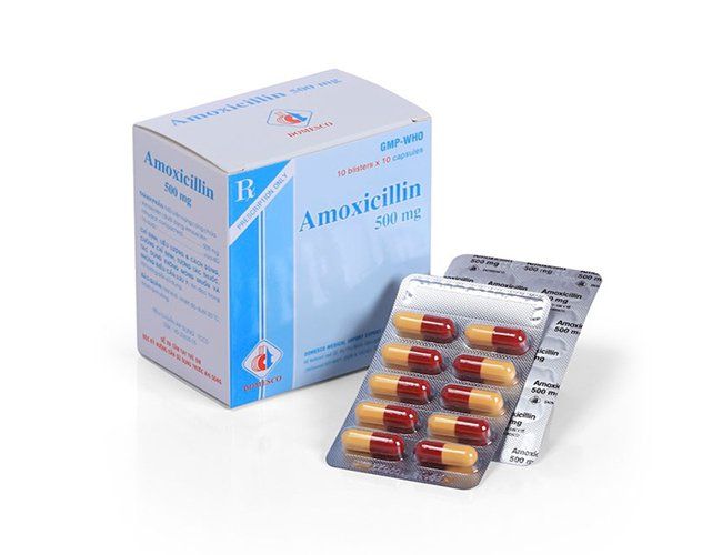 Thông Tin Về Thuốc Amoxicillin 500mg: Công Dụng, Liều Dùng Và Lưu Ý