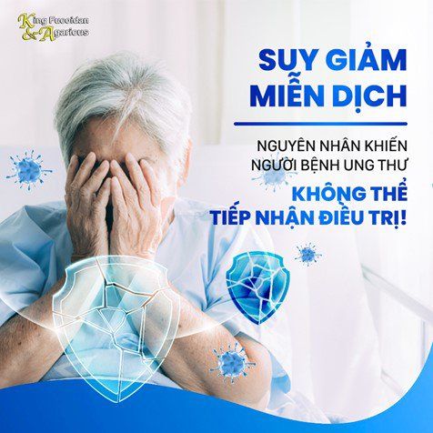 Tầm quan trọng của miễn dịch với người bệnh ung thư