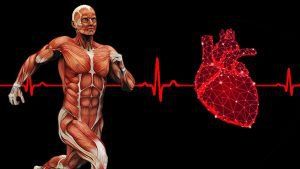 Vận động thể lực sau điều trị tim mạch như thế nào?