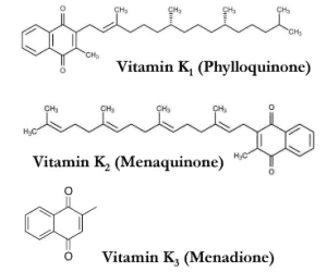 
Vitamin K
