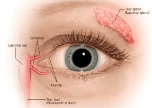10 phương pháp điều trị khô mắt tốt nhất