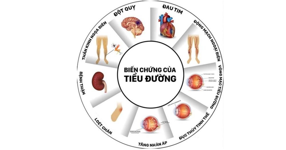 9. Kết Luận và Khuyến Nghị