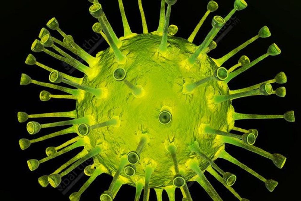 
Virus là nguyên nhân gây nhiều bệnh nguy hiểm
