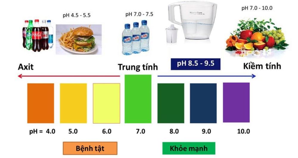 
Độ pH là một thông số quan trọng trong xét nghiệm nước tiểu
