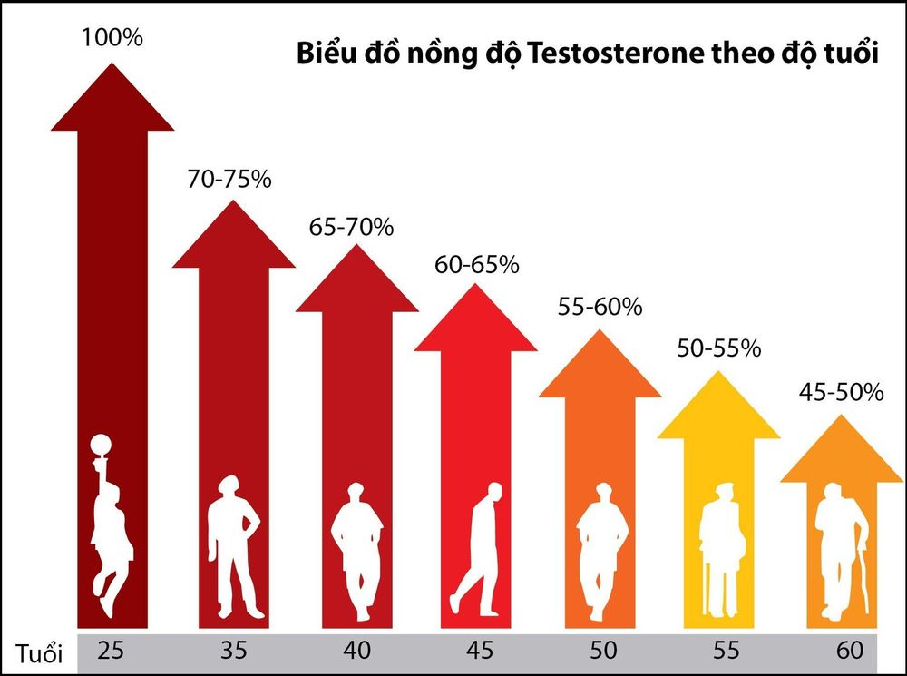 
Nghiên cứu tập trung trên đối tượng nam giới có nồng độ testosterone cao tự nhiên
