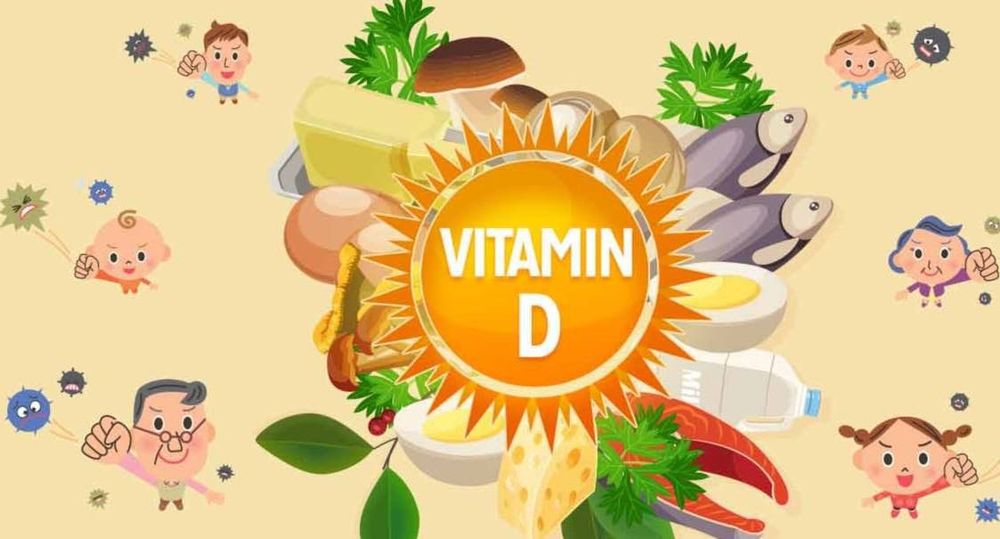 
Vitamin D có vai trò rất quan trọng đối với hoạt động của hệ miễn dịch
