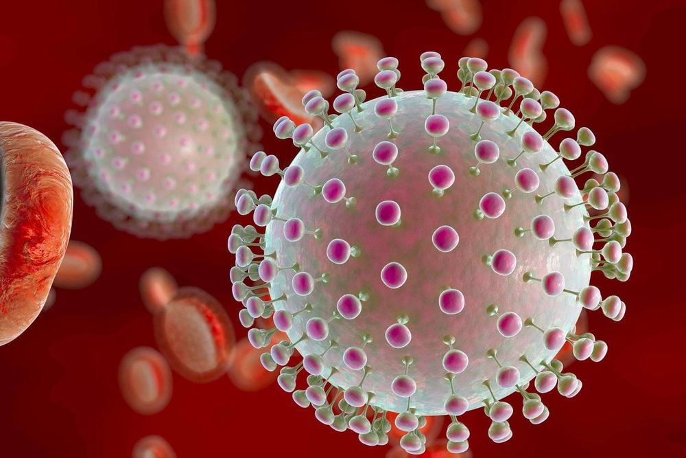 
Virus Zika có mức độ lây nhiễm bệnh rất cao
