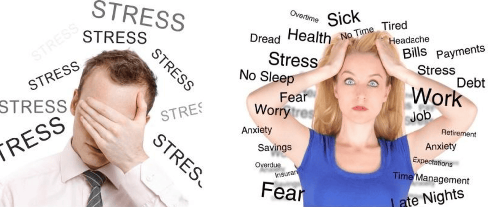 
Tránh xa stress căng thẳng áp lực
