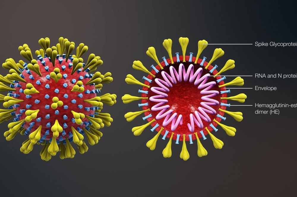 
RNA của virus
