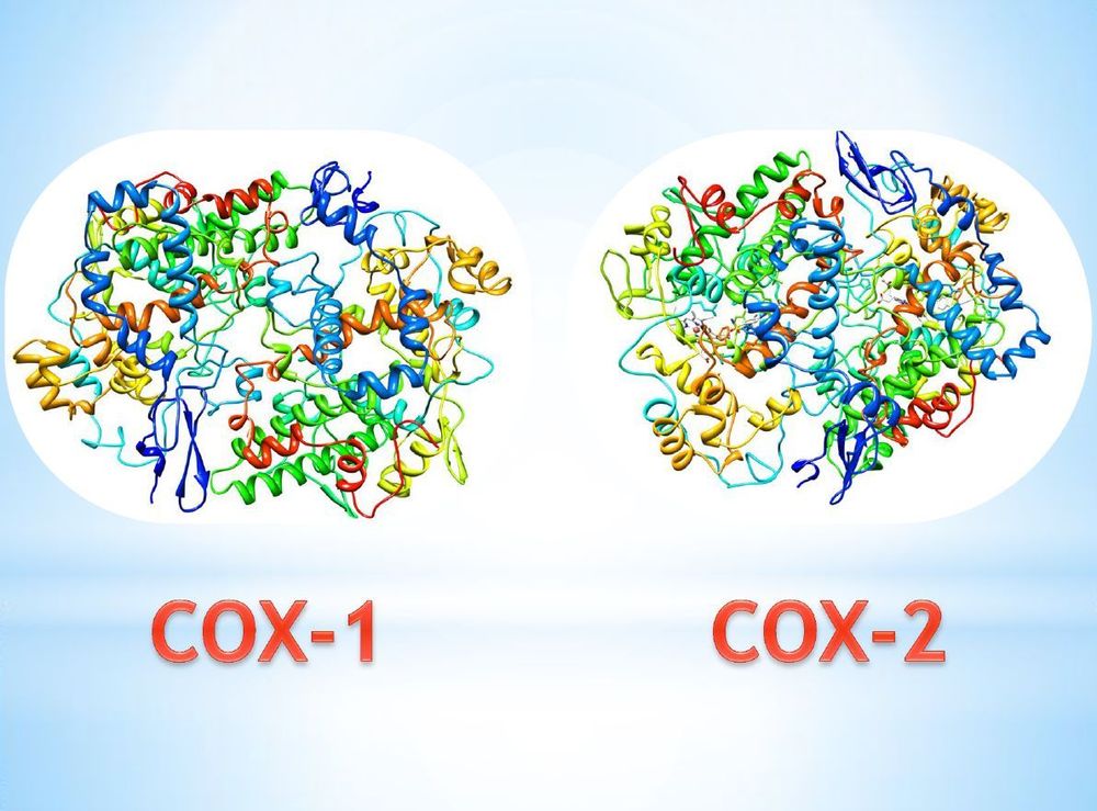 10. Tương lai và các biện pháp mới trong phòng ngừa E. coli