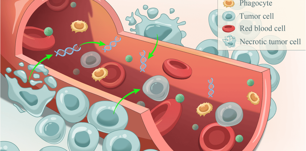 
Sinh thiết lỏng ctDNA
