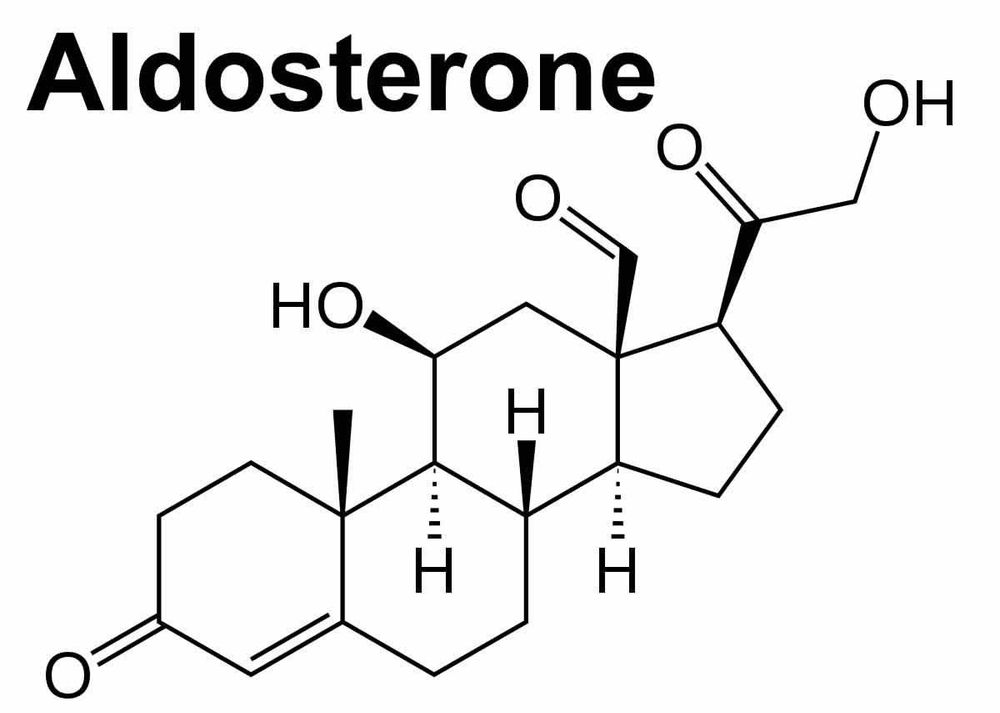 
Cấu trúc aldosterone
