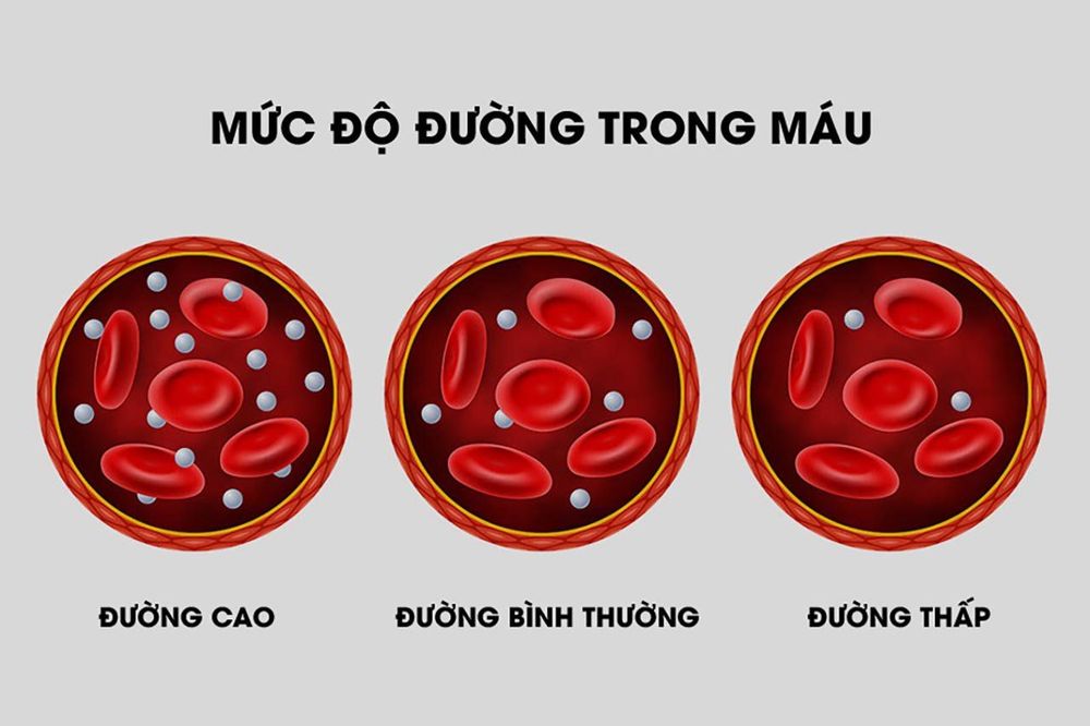 
Chất béo giúp điều chỉnh lượng đường trong máu
