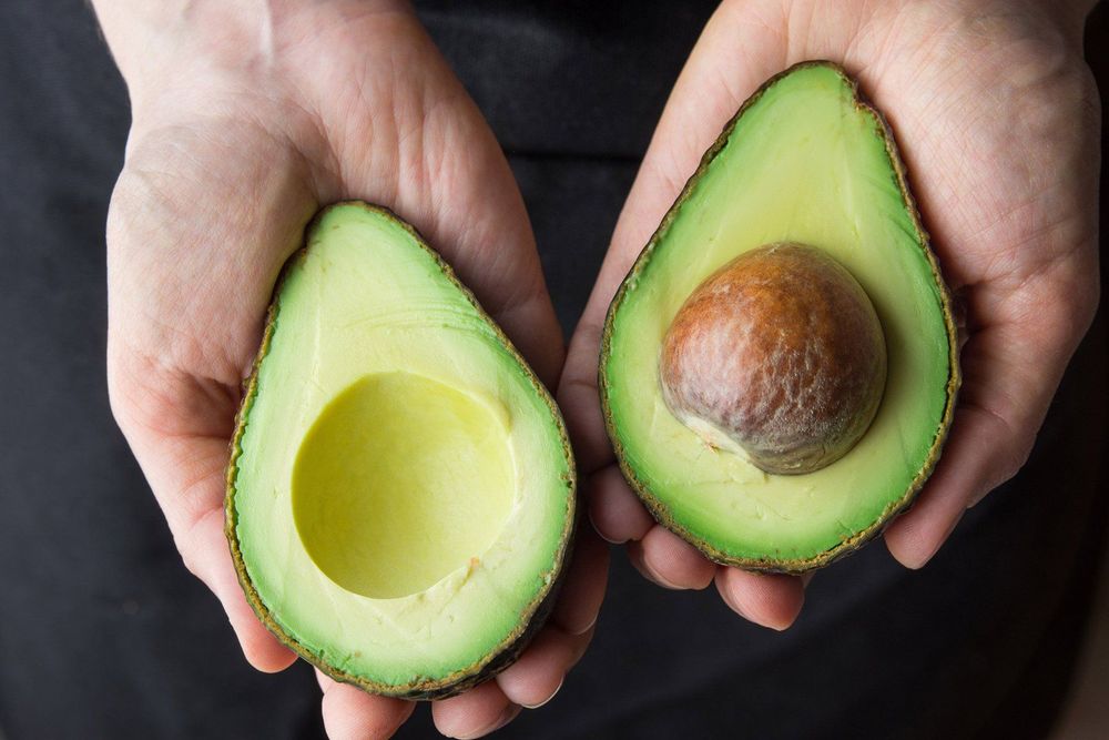 Việc ăn một trái bơ mỗi ngày làm giảm mức cholesterol LDL nhiều hơn những người không ăn bơ