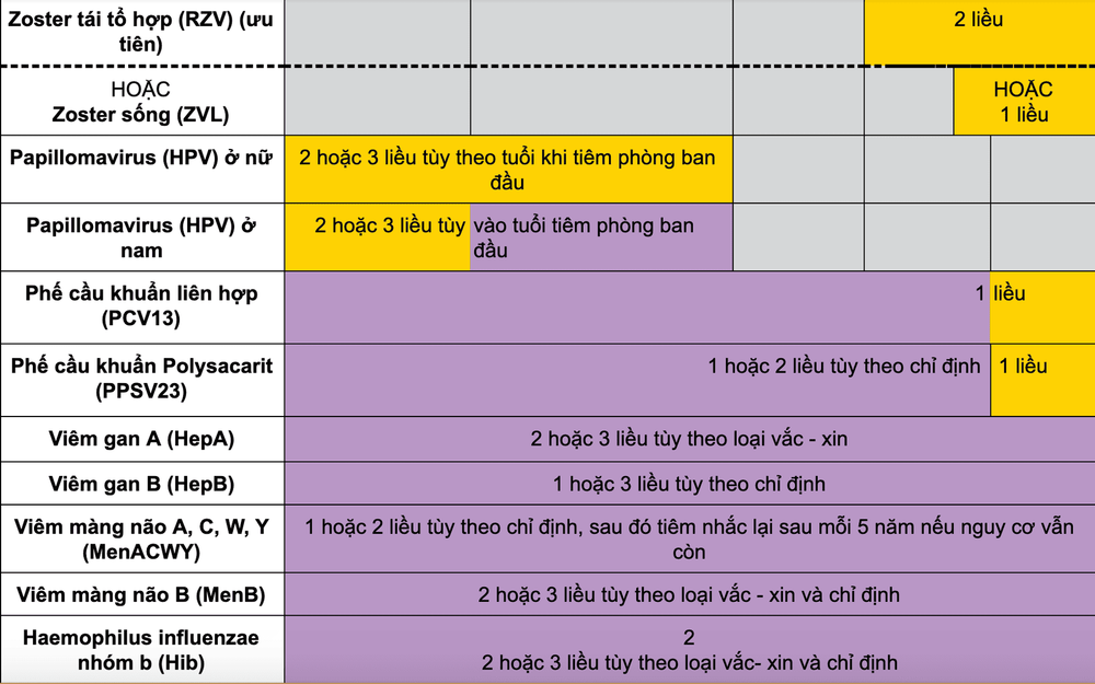 Lịch tiêm vắc - xin cho người lớn từ 19 đến trên 65 tuổi