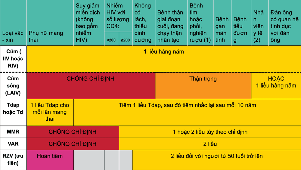 Lịch tiêm vắc - xin cho người lớn từ 19 đến trên 65 tuổi