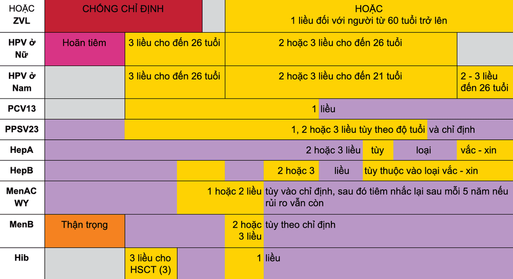 Lịch tiêm vắc - xin cho người lớn từ 19 đến trên 65 tuổi