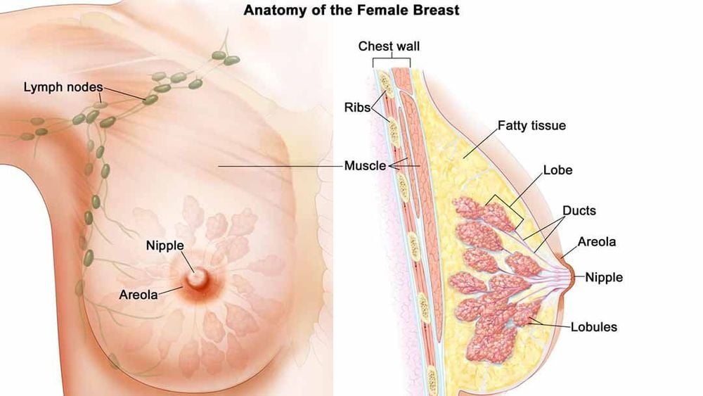 
Có nhiều phương pháp điều trị ung thư vú hiện nay
